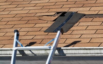 Vulnerable Roof Areas: Weak Spots and Damage in Plymouth