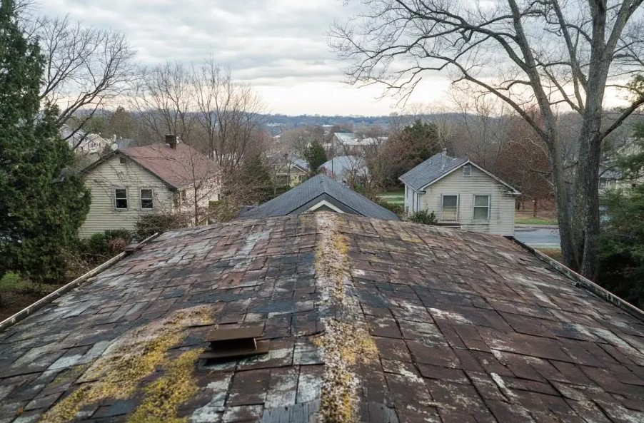 9 Tips for Removing Mold and Algae from Roof