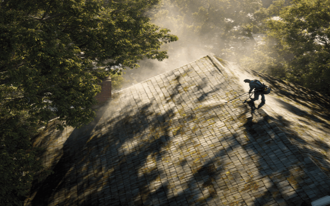 Tips for Removing Mold/Algae from Roof Safely and Effectively