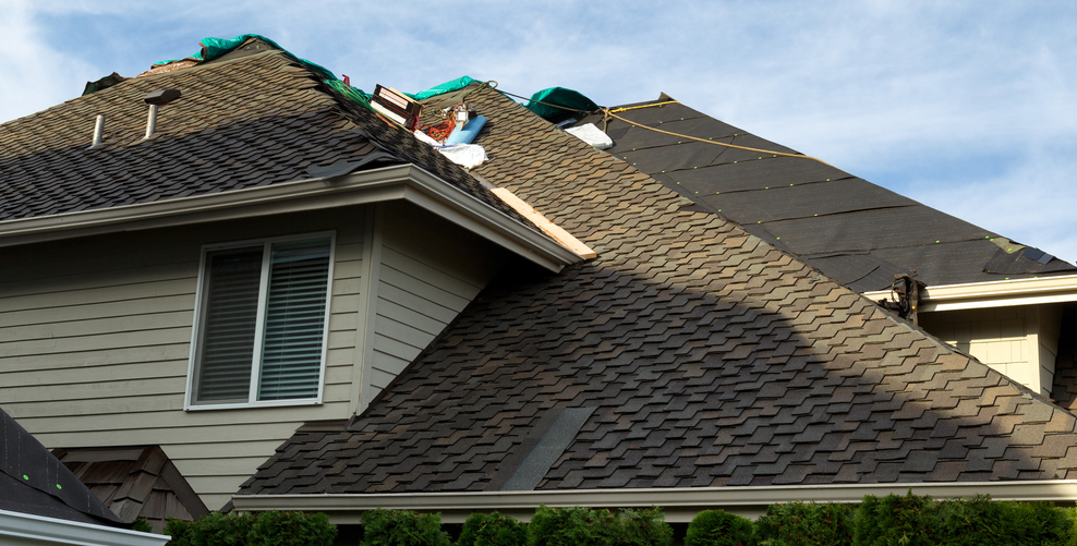 Trusted Composite Roofing Expert in Minnesota