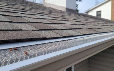 Best Rain Gutters for Minnesota Weather: Seamless Gutters + Guards
