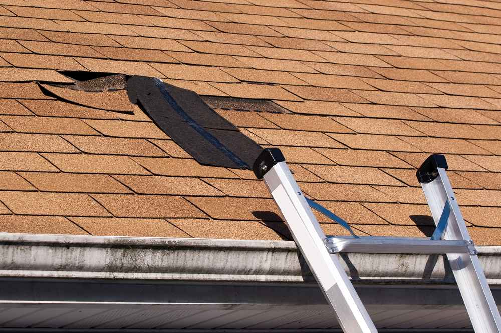 Roof Repair Expert