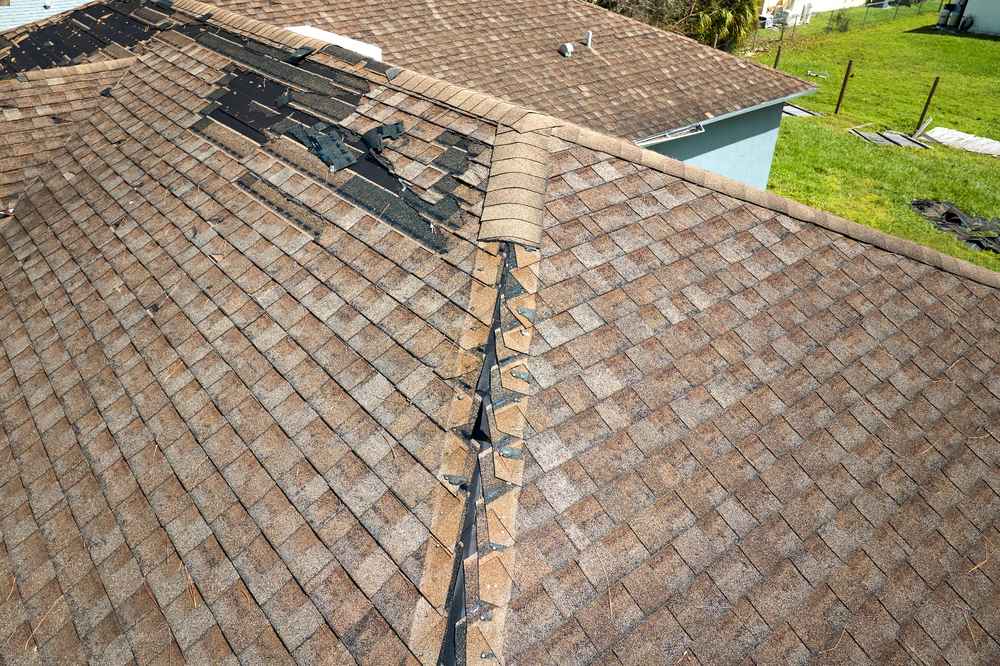 Roof Repair Expert