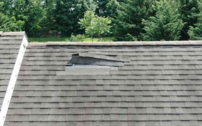 Signs Your Roof Needs Immediate Repair